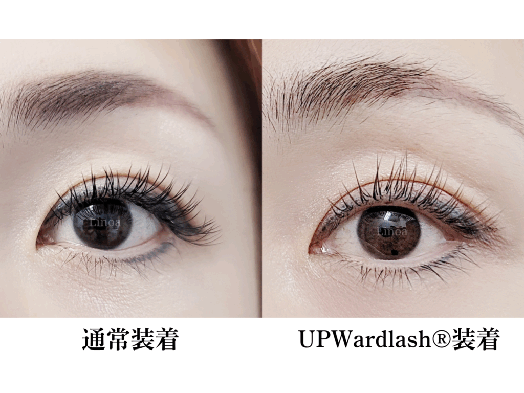 東京恵比寿Linoaの下向きまつ毛向けマツエク比較。通常装着とUPWardlash装着のビフォーアフターで、根元からしっかり上がる上向きまつ毛を実現。